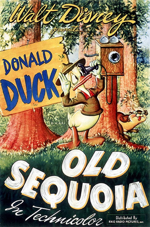 Póster de Old Sequoia
