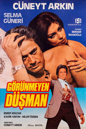 Póster de Görünmeyen Düşman
