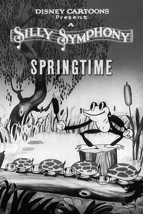 Póster de Springtime
