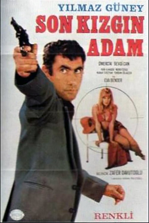 Póster de Son Kızgın Adam