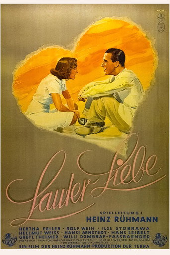 Póster de Lauter Liebe