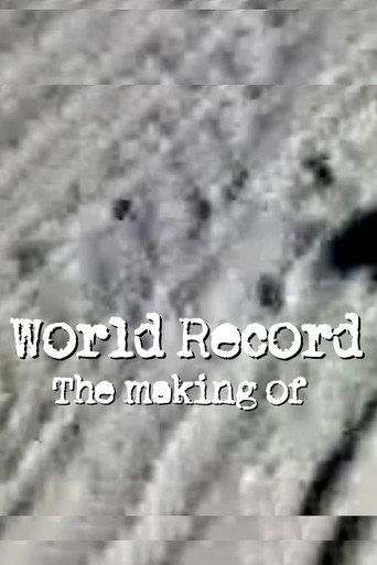 Póster de Neil Young & Crazy Horse: World Record: The Making Of - A Chronicle of the Music