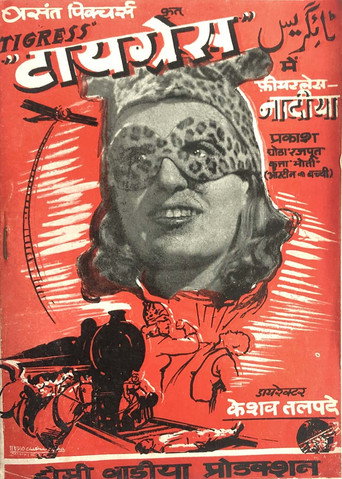 Póster de Tigress