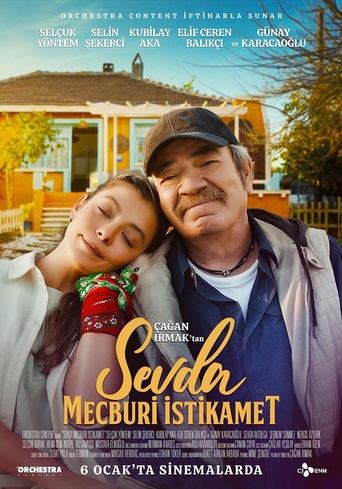 Póster de Sevda Mecburi İstikamet