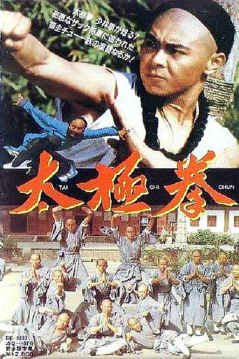 Póster de 太极拳