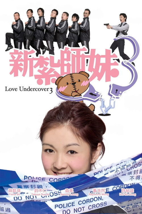Póster de 新紮師妹3