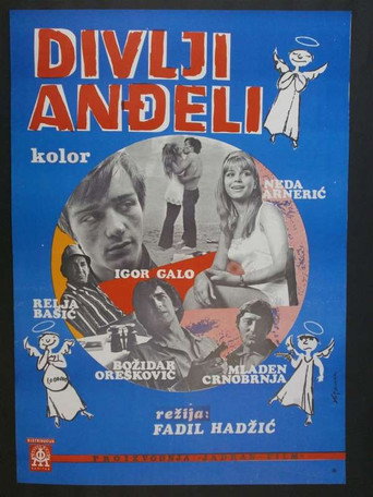 Póster de Divlji anđeli