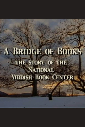 Póster de A Bridge of Books
