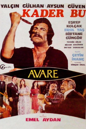 Póster de Kader Bu