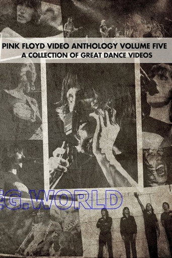 Póster de Pink Floyd:  Video Anthology Vol. 5