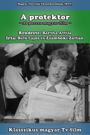Póster de A protektor