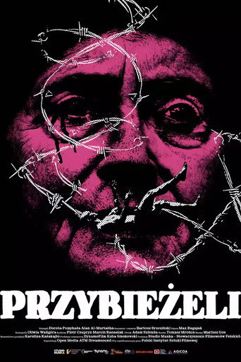 Póster de Przybieżeli