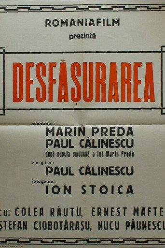 Póster de Desfasurarea