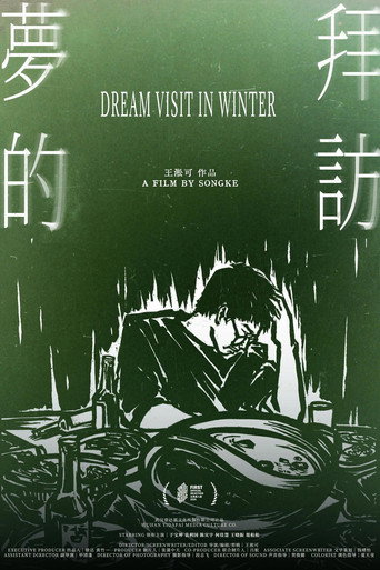 Póster de 梦的拜访