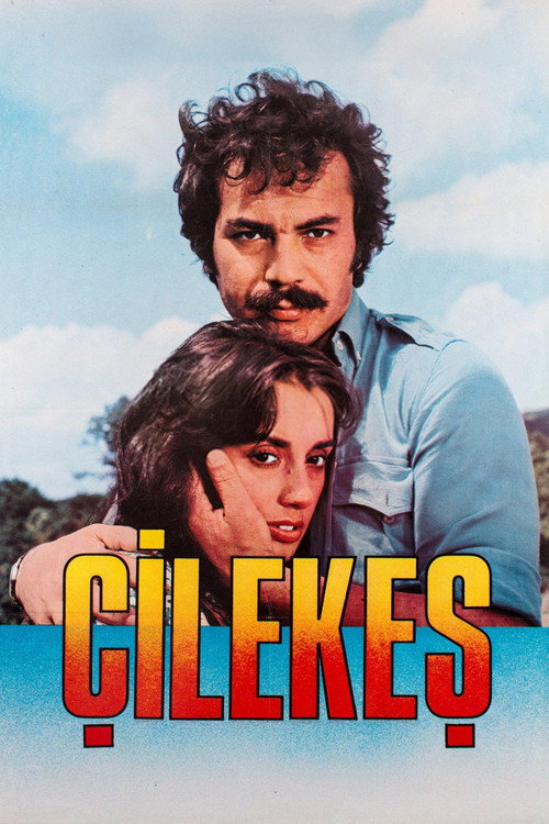 Póster de Çilekeş
