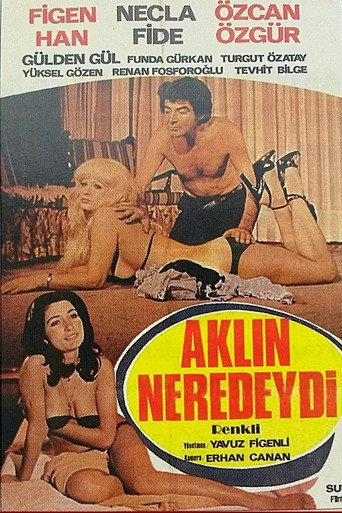 Póster de Aklın Neredeydi