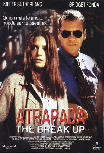 Póster de Break Up