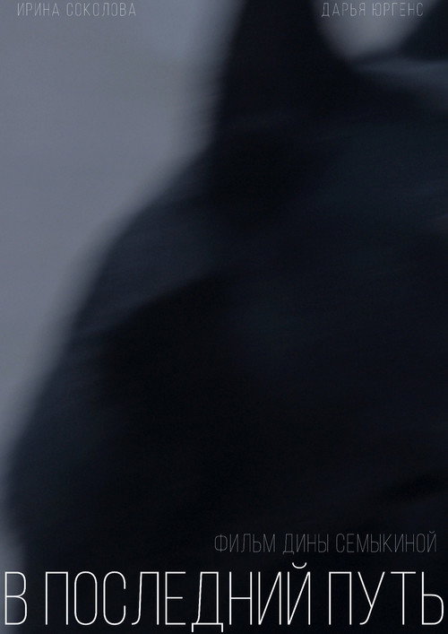 Póster de В последний путь