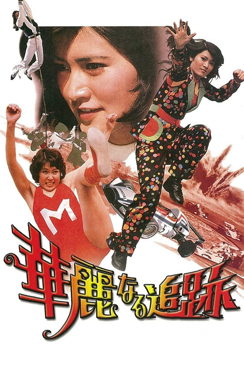 Póster de 華麗なる追跡