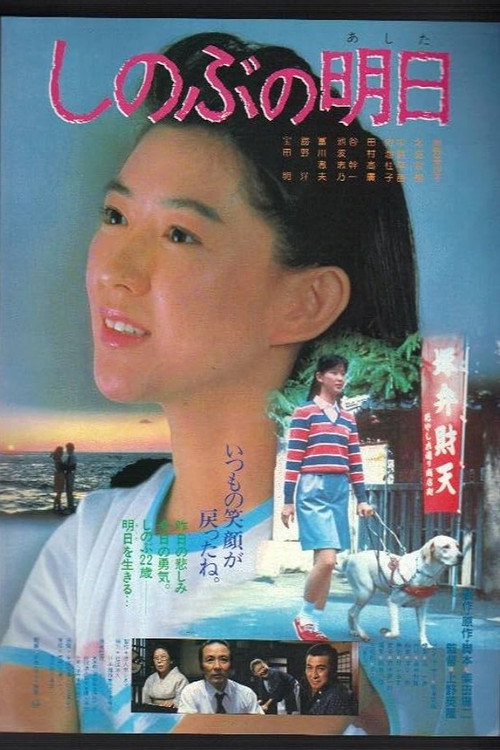 Póster de しのぶの明日