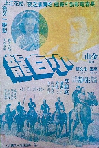 Póster de 小白龙