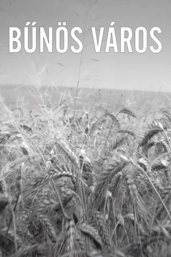 Póster de Bűnös Város