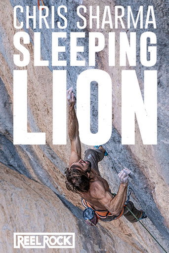 Póster de Sleeping Lion