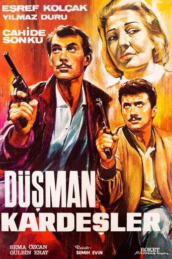 Póster de Düşman Kardeşler