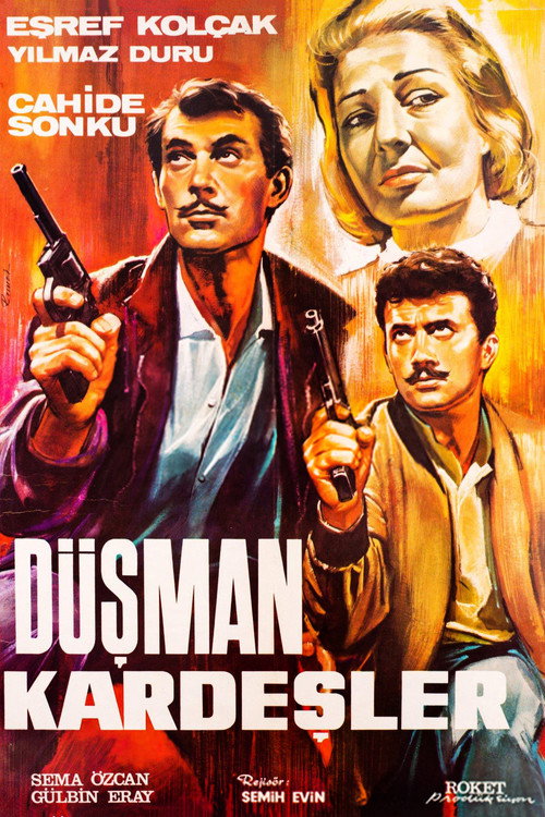 Póster de Düşman Kardeşler