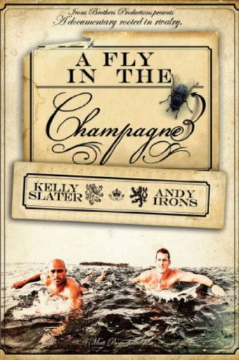 Póster de A Fly in the Champagne