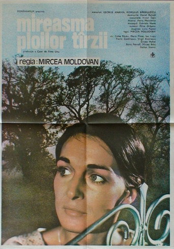 Póster de Mireasma ploilor târzii