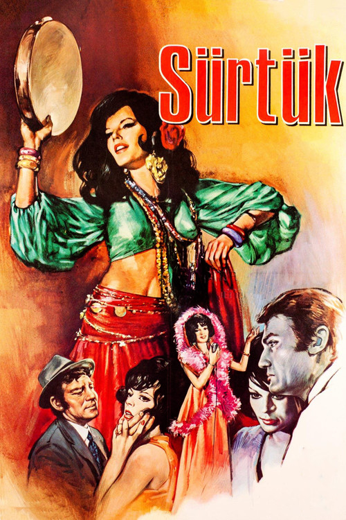 Póster de Sürtük