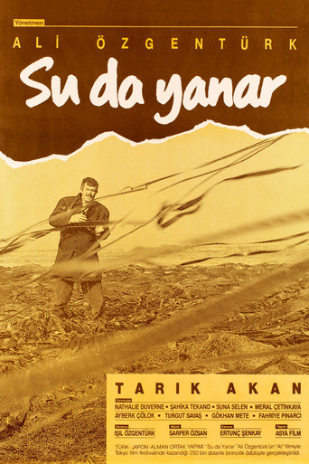 Póster de Su da Yanar