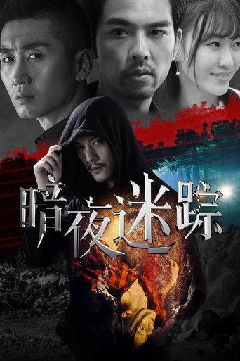 Póster de 暗夜迷踪
