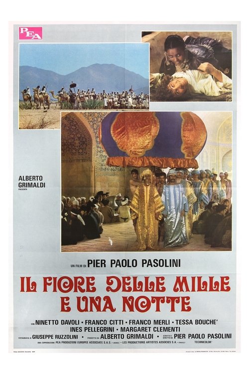 Póster de Il fiore delle Mille e una notte