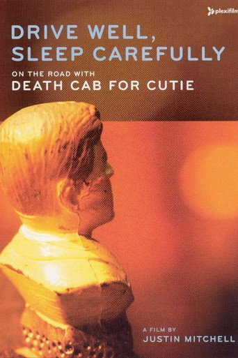 Póster de Drive Well, Sleep Carefully