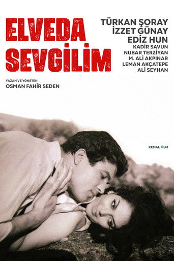Póster de Elveda Sevgilim