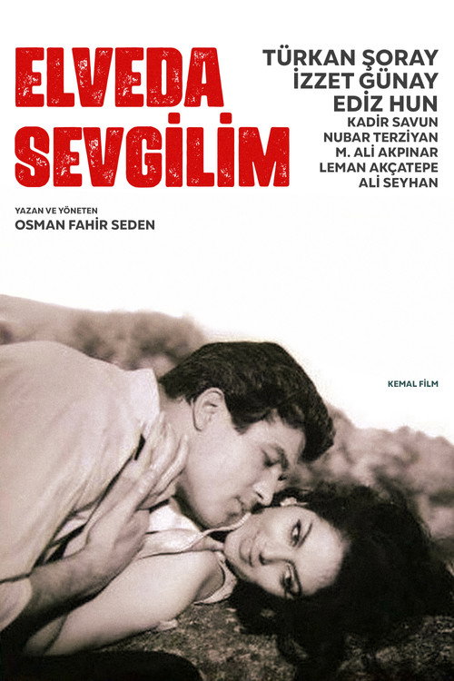 Póster de Elveda Sevgilim