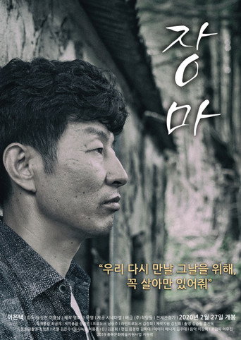 Póster de 장마