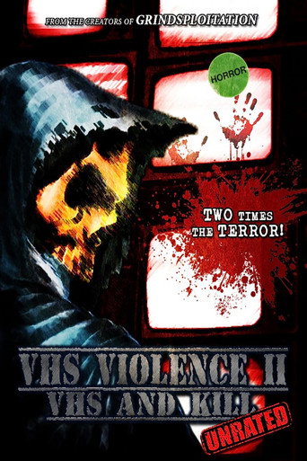 Póster de VHS Violence II: VHS and KILL