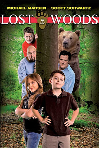 Póster de Lost in the Woods