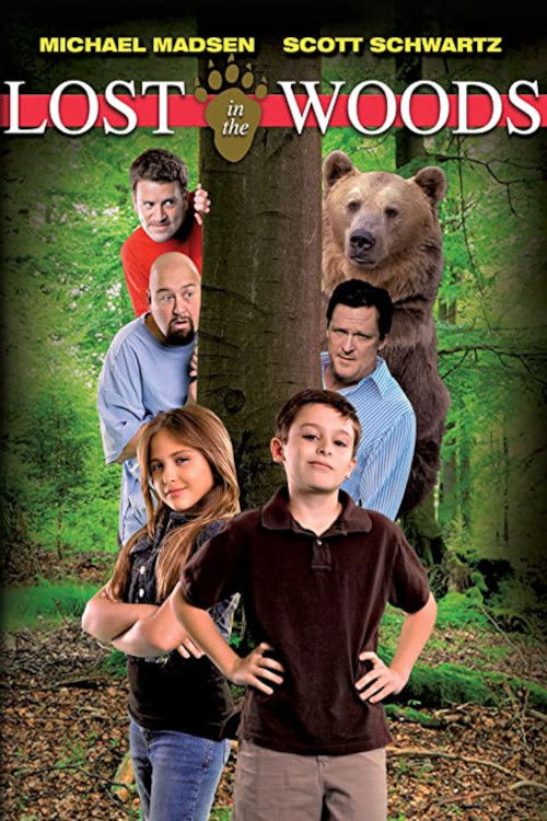 Póster de Lost in the Woods