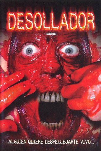 Póster de Scarred