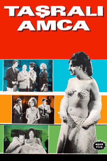 Póster de Taşralı Amca