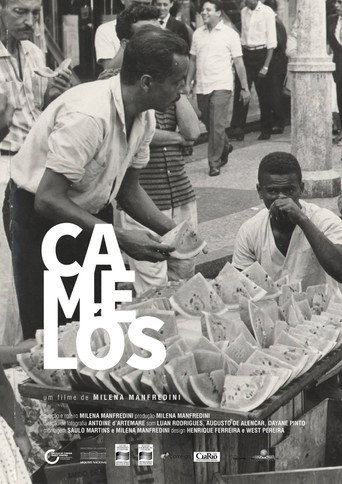 Póster de Camelôs