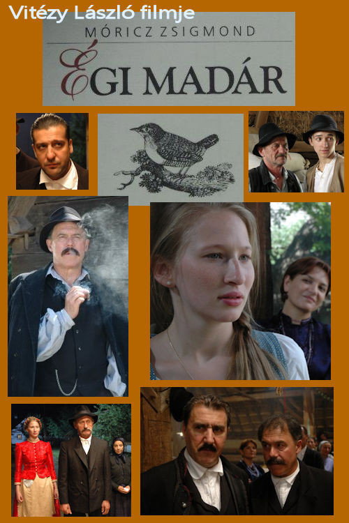 Póster de Égi madár