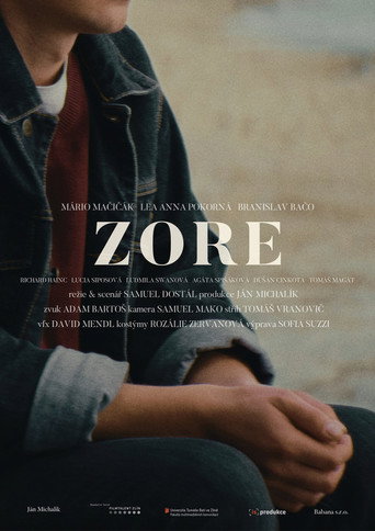 Póster de Zore