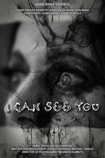 Póster de I Can See You