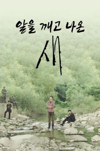 Póster de 알을 깨고 나온 새