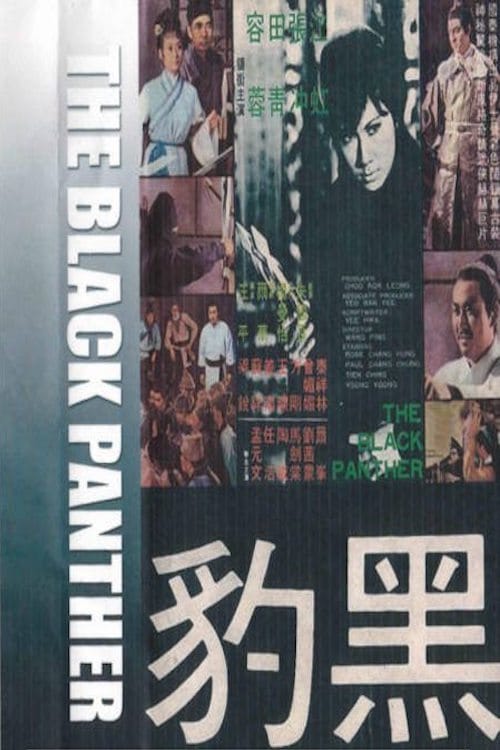 Póster de 黑豹